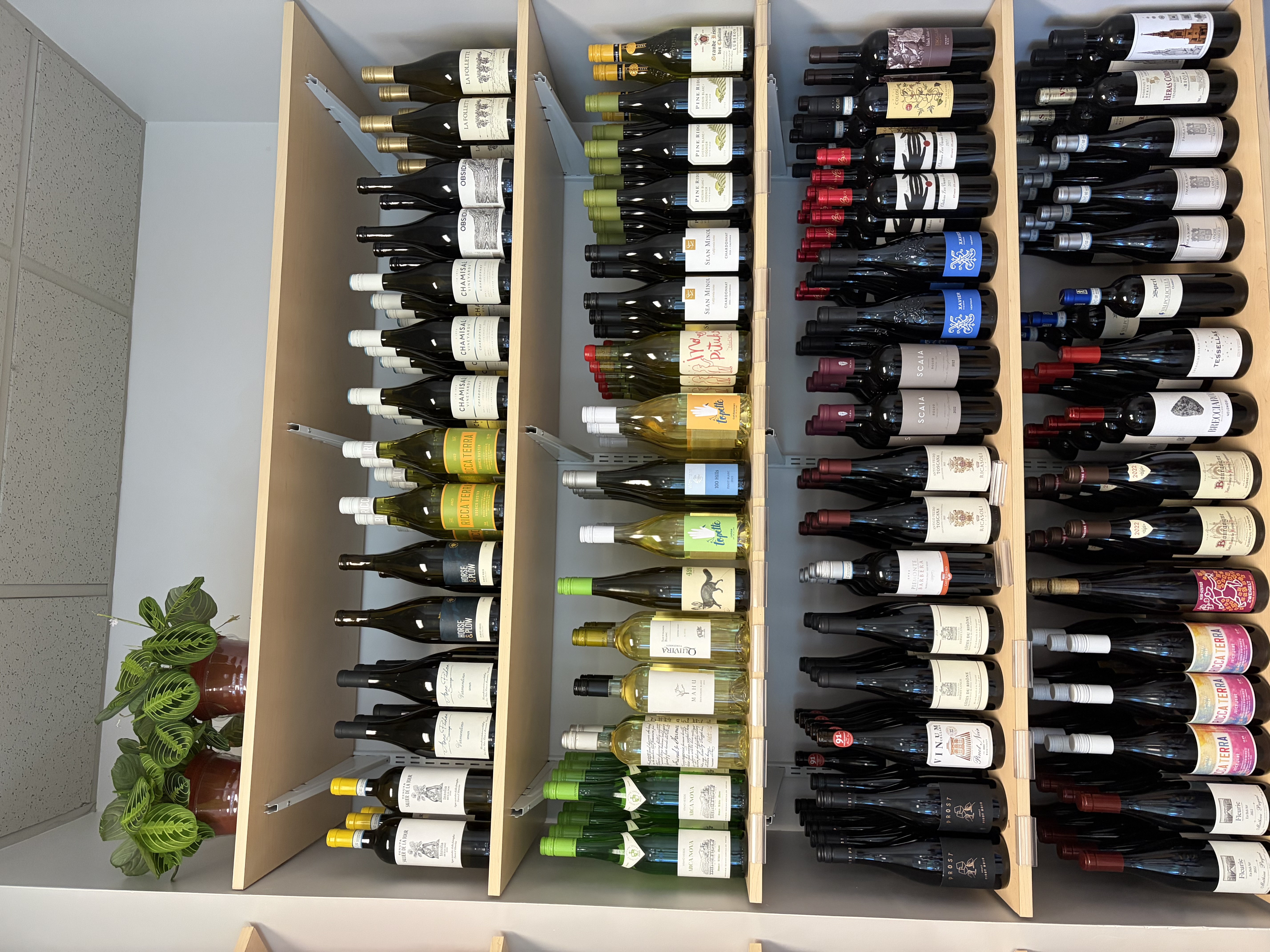 Wines